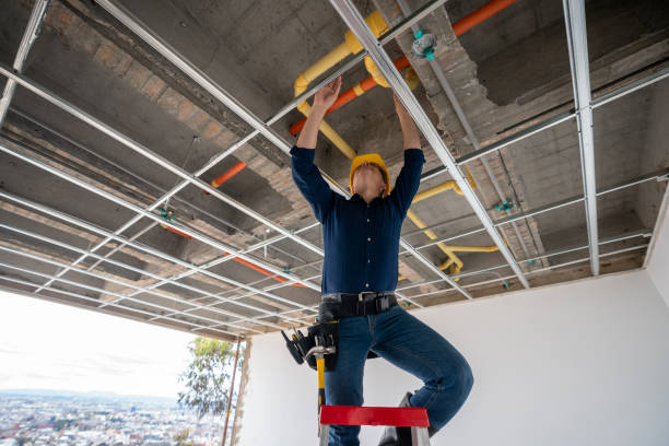 Best Residential Plumbing Services  in Grant, AL